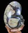 Septarian Dragon Egg Geode - Black Crystals #72061-1